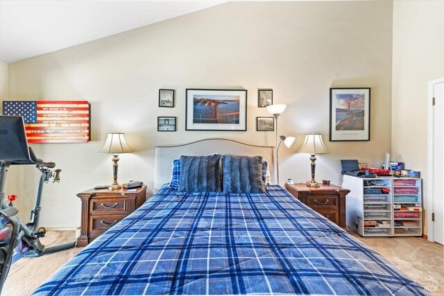 bedroom with carpet flooring