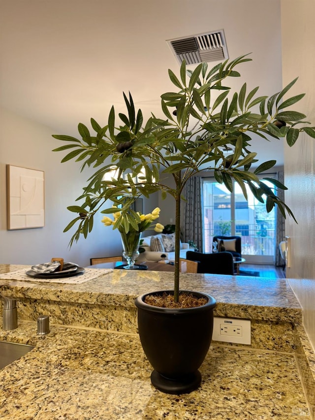 room details with light stone counters and visible vents