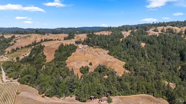 aerial view with a forest view