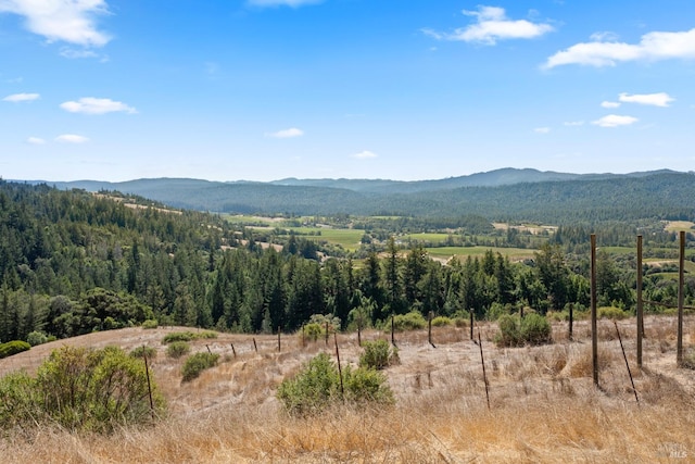 view of mountain feature featuring a forest view and a rural view