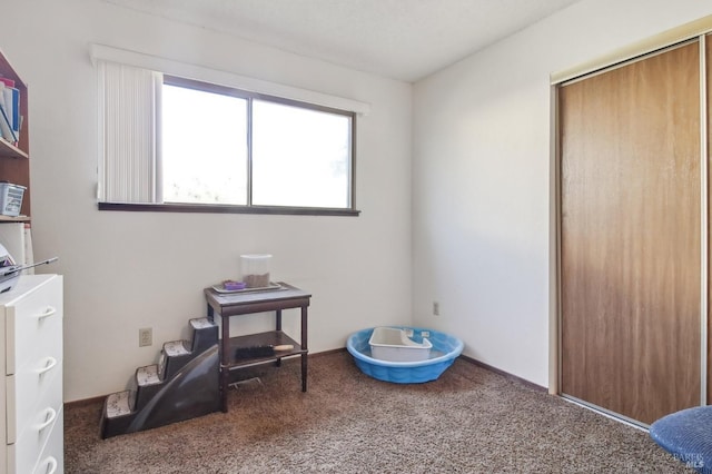 playroom with carpet flooring