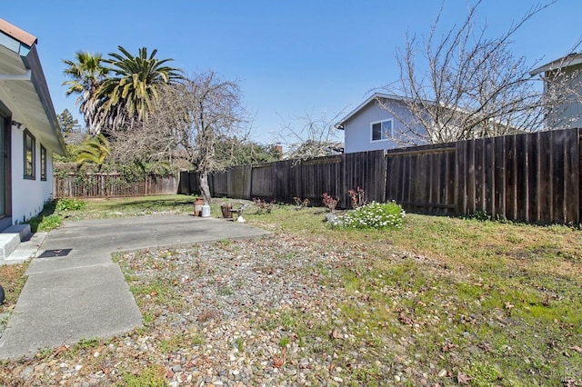 view of yard with a patio and a fenced backyard