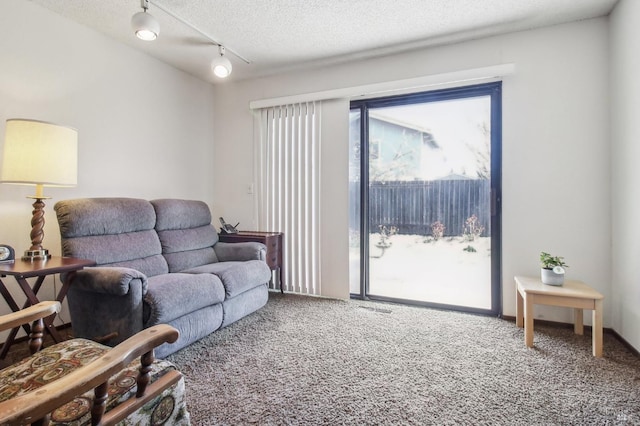 carpeted living area featuring rail lighting and a textured ceiling