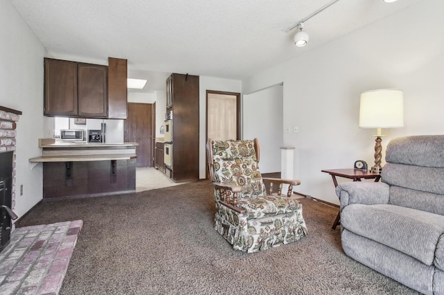 living room featuring a textured ceiling, track lighting, and light carpet