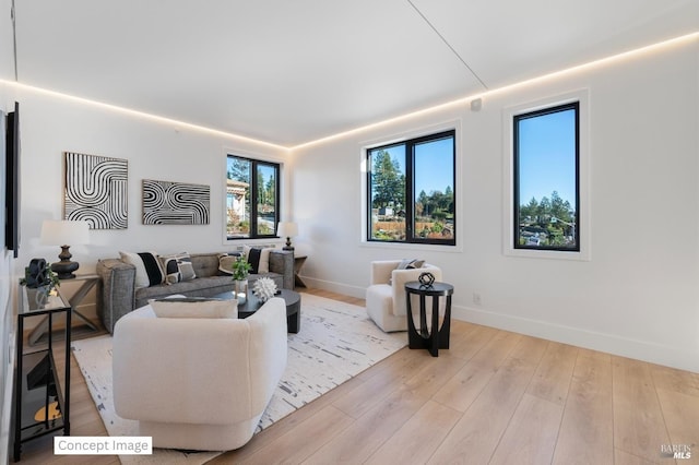 living room with baseboards and wood finished floors