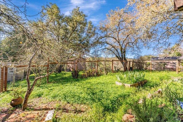 view of yard with a vegetable garden and fence