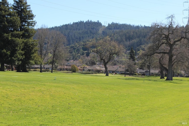 surrounding community with a lawn and a view of trees