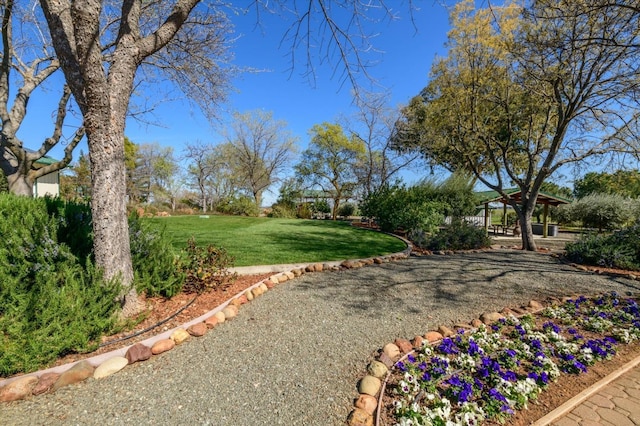 view of yard featuring a gazebo