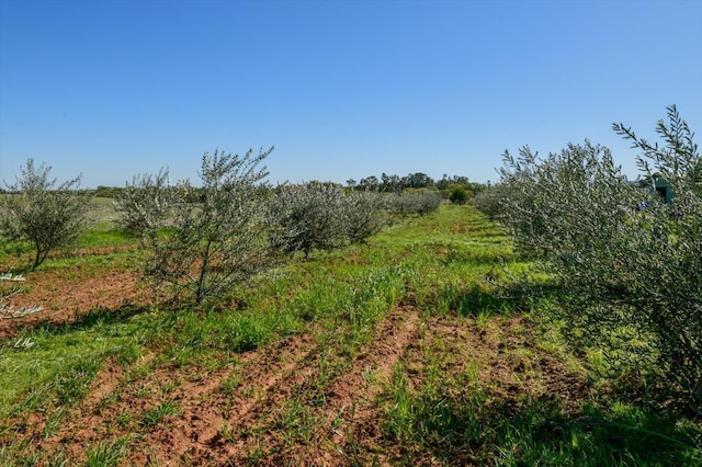 view of landscape