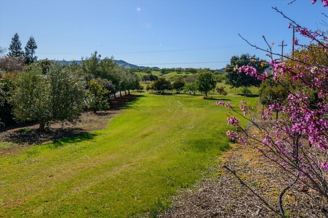 view of yard featuring a mountain view