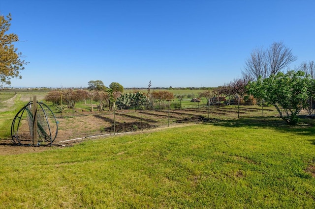 view of yard with a rural view