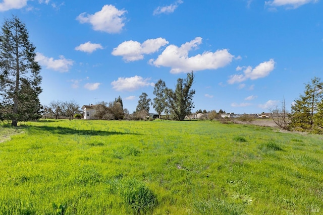 view of yard featuring a rural view