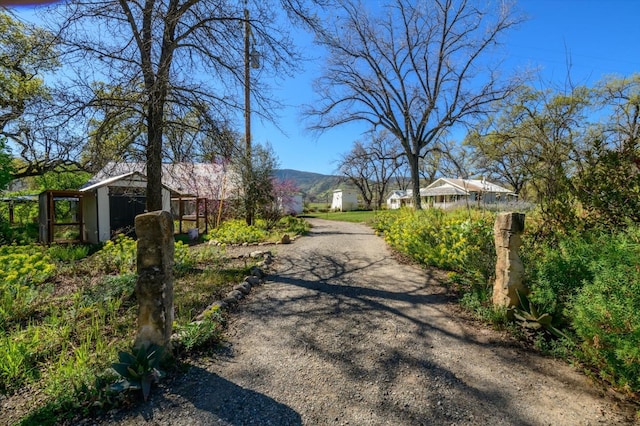 view of street with gravel driveway