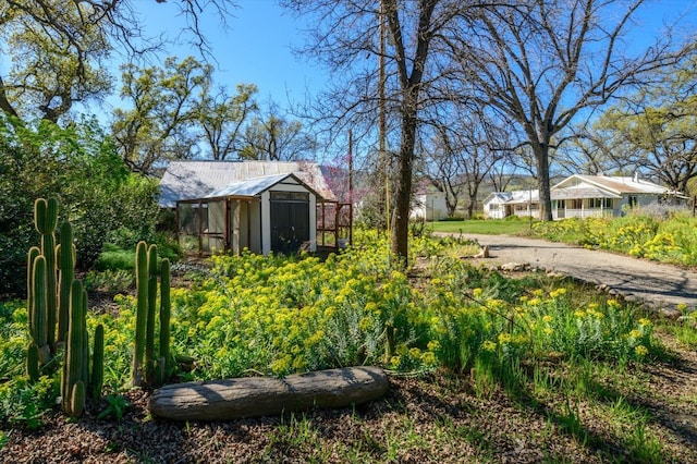 view of yard featuring an outdoor structure
