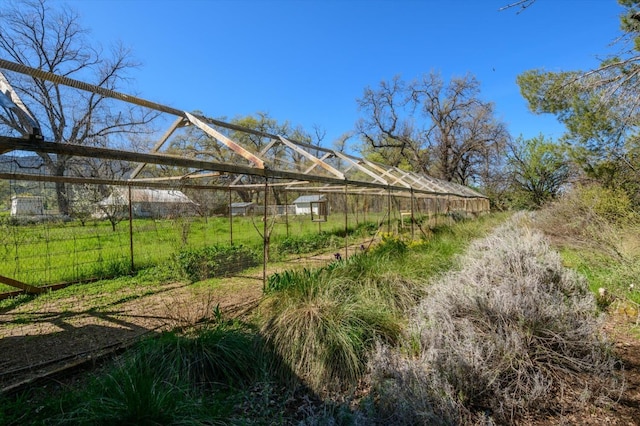view of yard featuring an outdoor structure