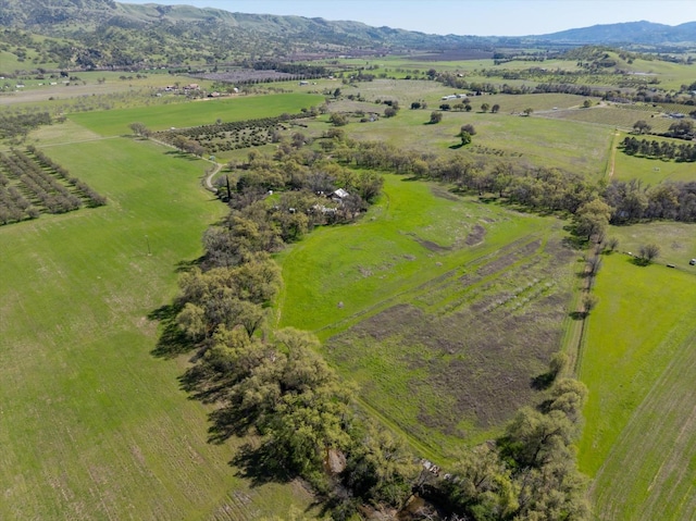 birds eye view of property with a rural view and a mountain view