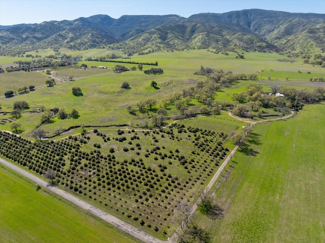 drone / aerial view with a rural view and a mountain view
