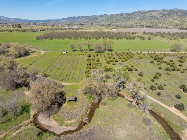 birds eye view of property featuring a rural view and a mountain view