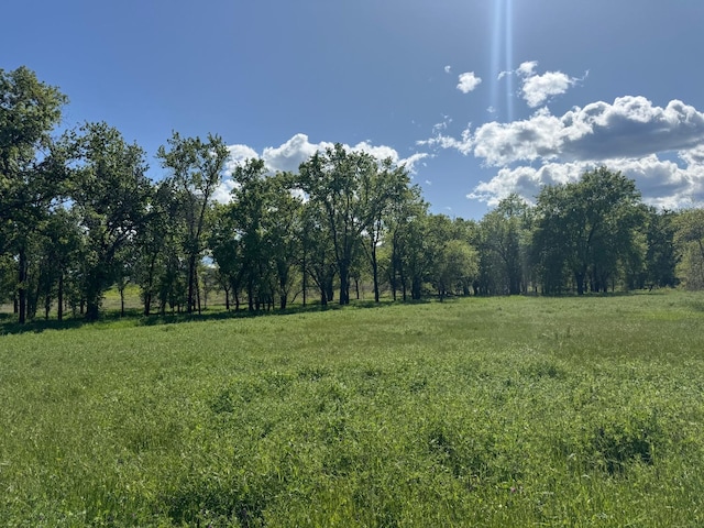 view of local wilderness with a rural view