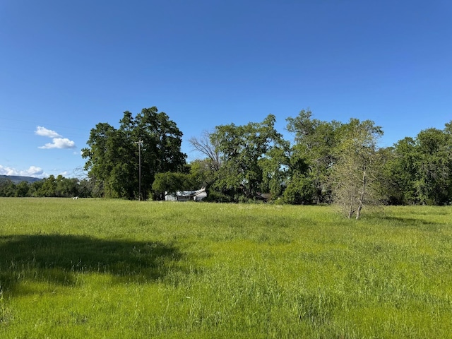 view of landscape with a rural view