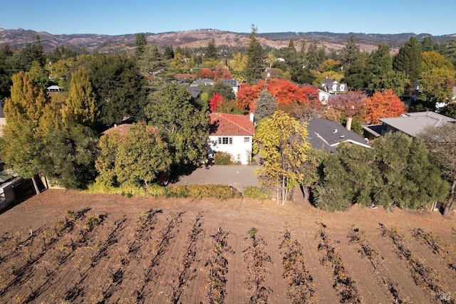 aerial view featuring a mountain view