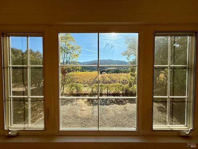 doorway with plenty of natural light and a mountain view