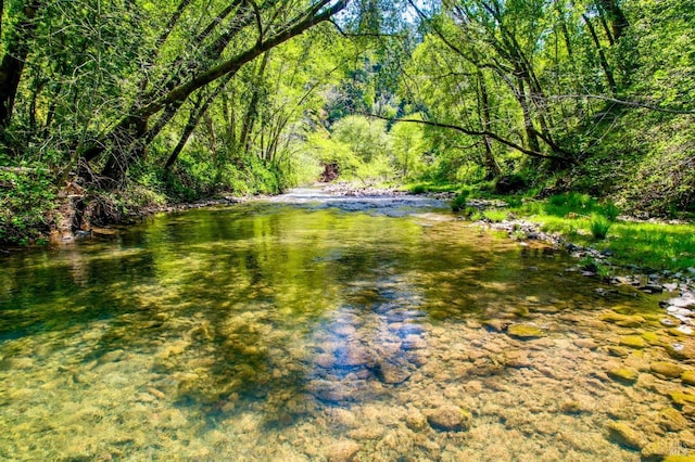 view of water feature with a forest view