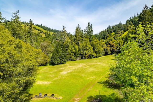 drone / aerial view with a forest view