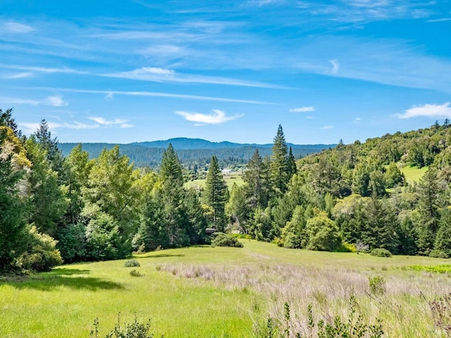 view of mountain feature with a view of trees