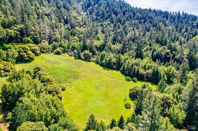 bird's eye view featuring a forest view