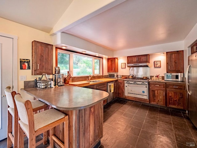 kitchen featuring under cabinet range hood, a sink, stainless steel appliances, a peninsula, and vaulted ceiling