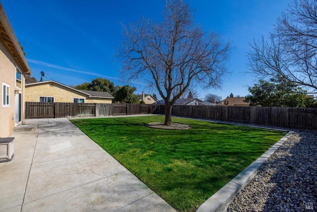 view of yard featuring a fenced backyard and a patio area