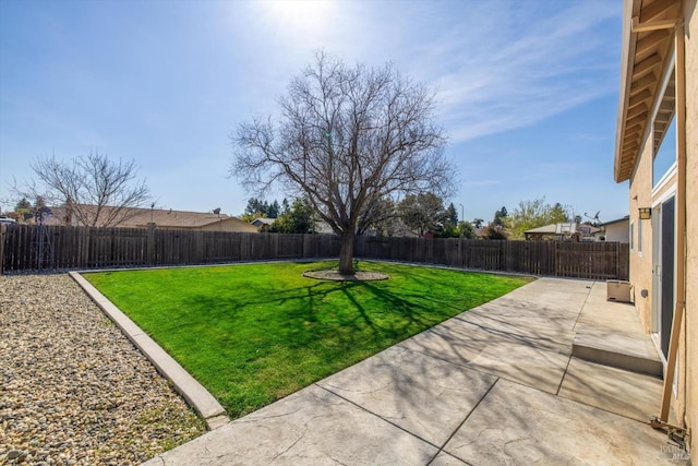 view of yard featuring a patio and a fenced backyard