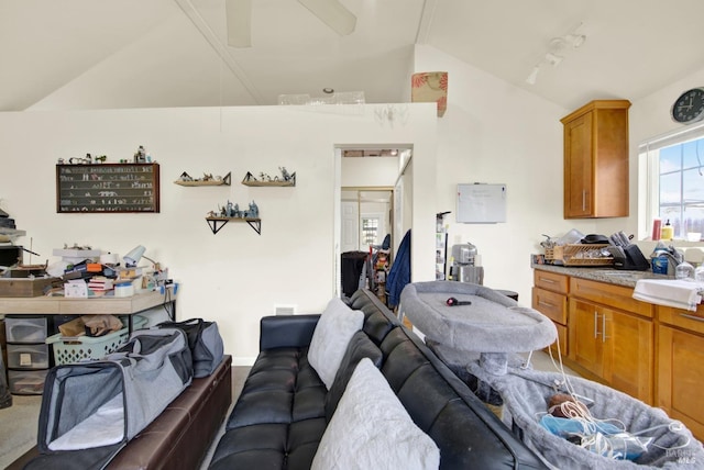 living area featuring vaulted ceiling