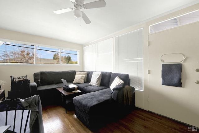 living room featuring a ceiling fan and wood finished floors