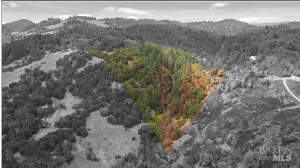 6601 Third Gate Rd, Willits CA, 95490 land for sale