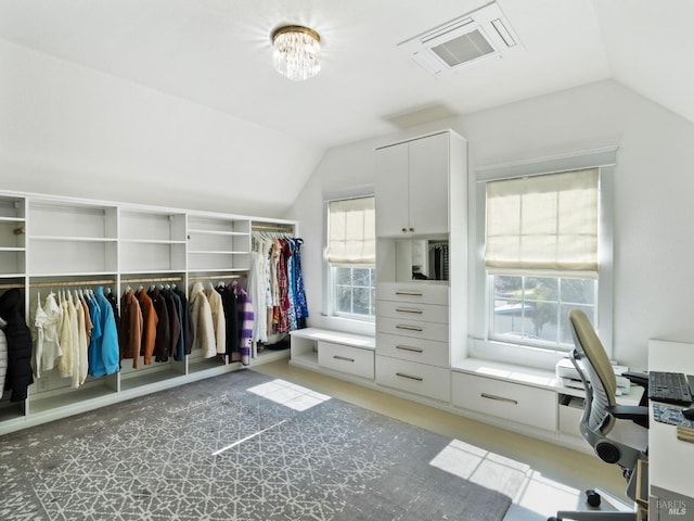 spacious closet featuring visible vents, lofted ceiling, and light colored carpet