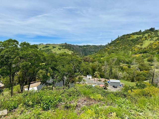 1687 Mark W Springs Rd, Santa Rosa CA, 95404 land for sale