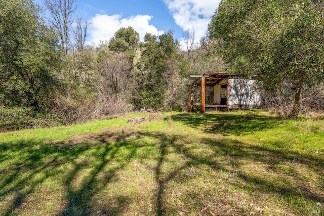 view of yard with an outbuilding