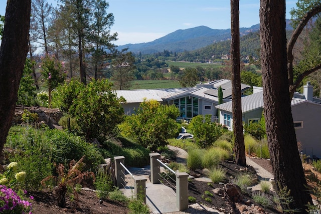 9 Bournemouth Rd, Saint Helena, CA 94574 - view of mountain feature