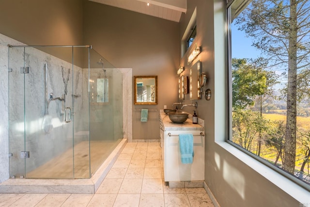 bathroom featuring a healthy amount of sunlight, a stall shower, vanity, and vaulted ceiling