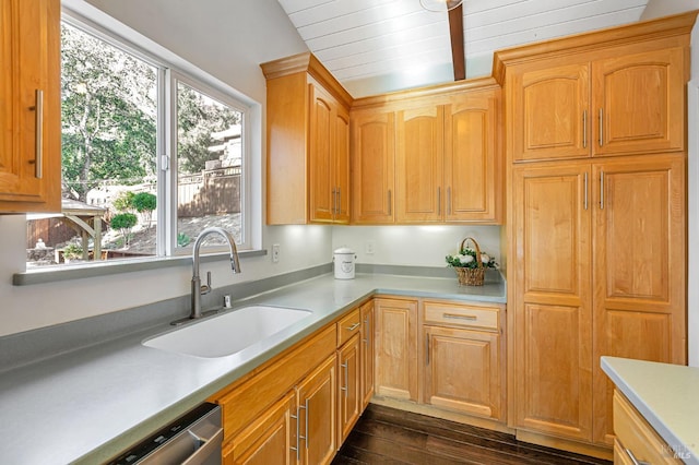 kitchen featuring a sink, stainless steel dishwasher, dark wood finished floors, and light countertops