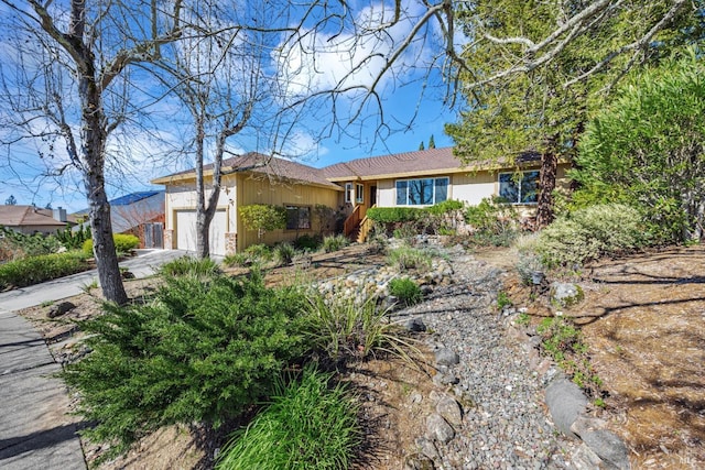 ranch-style house featuring an attached garage and driveway