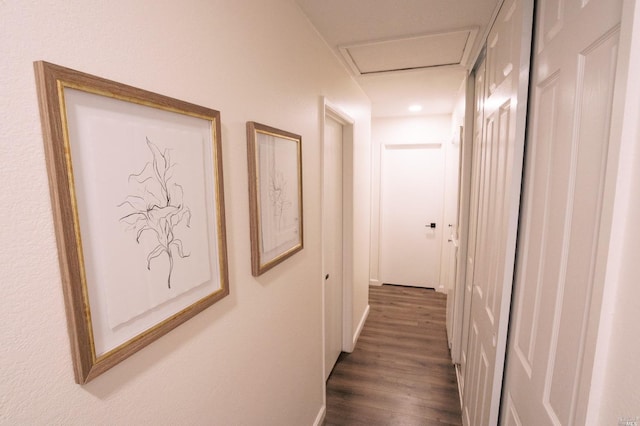 hallway featuring dark wood-type flooring and baseboards