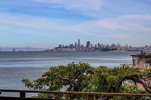 view of water feature with a view of city