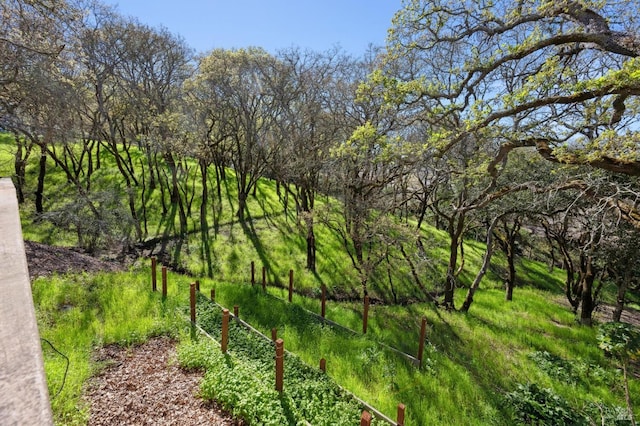 3292 Holland Dr, Santa Rosa, CA 95404 - view of nature