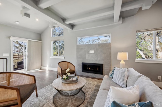 3292 Holland Dr, Santa Rosa, CA 95404 - living room featuring wood finished floors, a fireplace, baseboards, and a healthy amount of sunlight