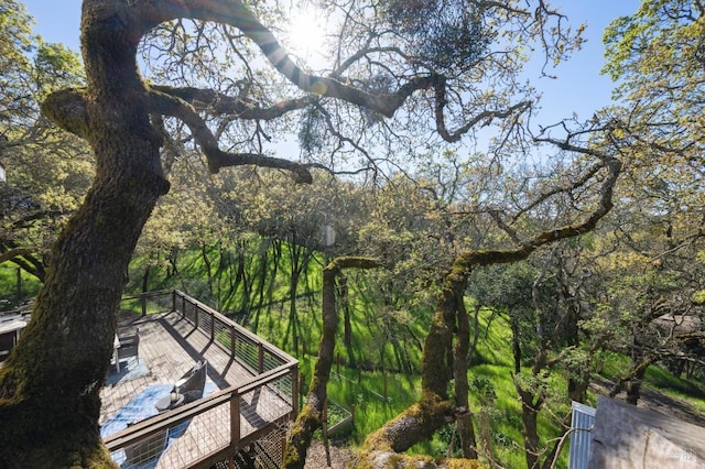3292 Holland Dr, Santa Rosa, CA 95404 - exterior space with a wooden deck