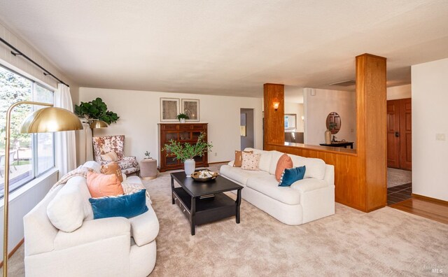 view of carpeted living room
