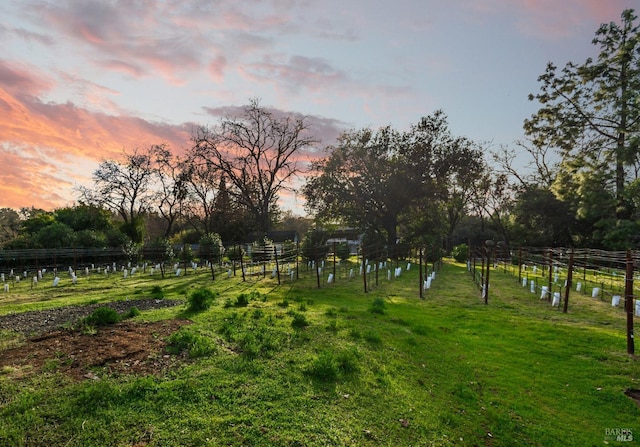 yard at dusk featuring a rural view and fence